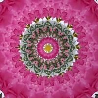 Kaleido