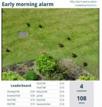 MajorDon's Early Morning Alarm