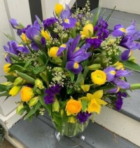 Happiness is....Splash of Spring !