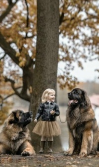 A girl and her dog2