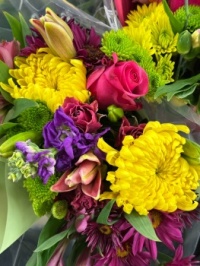 Lots of color here!