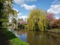 Tranquility along this section of the canal