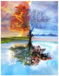 Four Seasons Tree