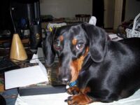 trudy 002