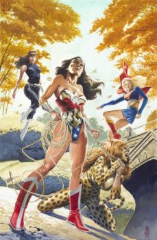 Solve The Cheetah Vs Wonder Woman Donna Troy And Supergirl Jigsaw Puzzle Online With 216 Pieces