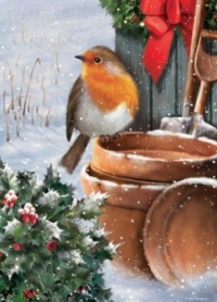 Seasonal Art - Winter - Birds - Robin on Garden Pots