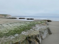 Point Reyes National Seashore