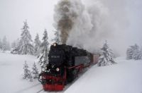 train