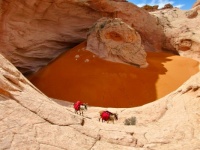 Sonic and Scout emerge from Cosmic Ashtray near Escalante, UT