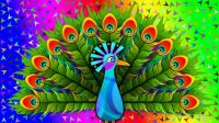 Colorfull-peacock