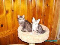 Lily and brother Toby