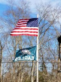 American Flag / Eagles Flag