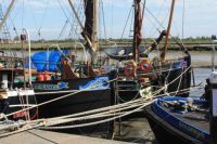 Thames Barges at Maldon
