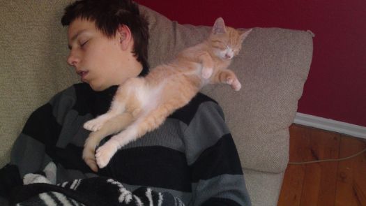 Jan my sweet cat and son take a nap :-)