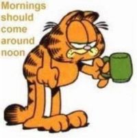 Garfield on mornings
