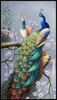 Beautiful peacock art!