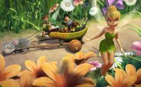 Disney-Tinkerbell
