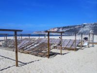 Portugal, Nazare, drying fish