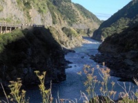 TUNNEL TRACK WALK- MANAWATU GORGE NZ