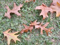 Autumn is here