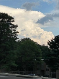 Before the storm