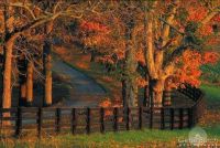 fall day