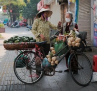 Vegetable seller's bicycle, Vietnam