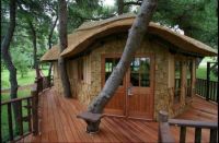 Amazing Tree house