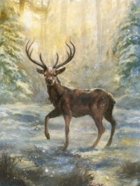 Seasonal Art - Winter - Stag in the Forest