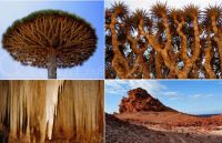 Nature's Wonders #2