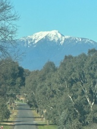 The road to Mt. Buller