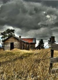 Left Behind and Forgotten