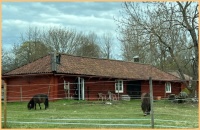 Sweden trip 2025