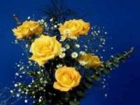 Yellow Roses
