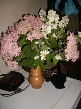 Bouquet ...