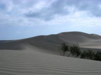 dunes in gran Canaria