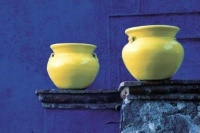yellow pots
