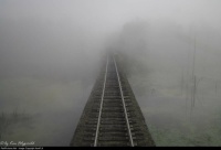 Disappearing Into The Fog - A "Creepy" Feeling Shivers Up The Spine!