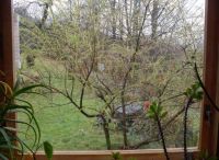 It's raining ...