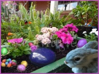 Easter Bunny Magic (Small)