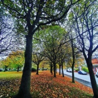 Autumn in England