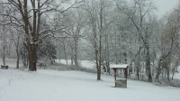 snow- don't miss it, not one little bit!