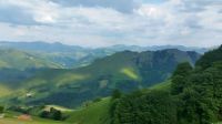 From the Camino de Santiago de Campostela