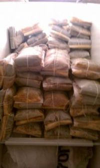 Pasteles in freezer.