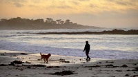 Pebble Beach Sunset