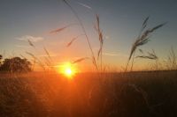 IMG_8218