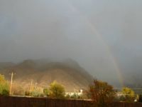 Rainbow behind my house
