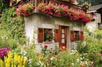 A cottage in a garden