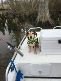 Cody fishing 20161512