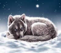 wolf angel-fairy tale dreams